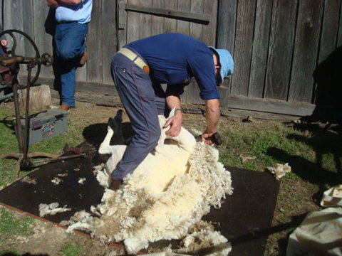 Peek Into The Past - Tourism Gold Coast 2