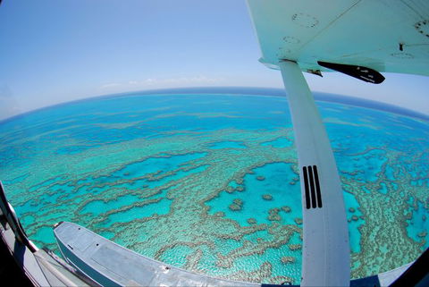 Air Whitsunday Seaplanes - Tourism Gold Coast 2