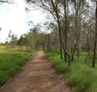 Billai dhagun Circuit Place of She-Oaks - Tourism Gold Coast