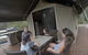 Darlington Beach NRMA Holiday Park - thumb 1