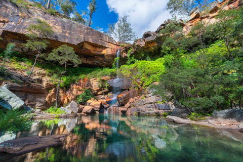 Dig The Tropic Four Day Drive - Tourism Gold Coast 2