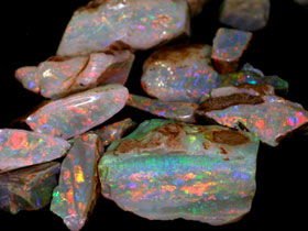 Arid Areas Tours - Tourism Gold Coast 0