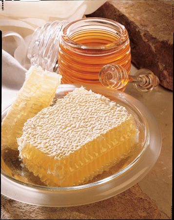 The Honey Place - Tourism Gold Coast 1