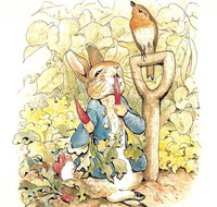 Mount Isa Civic Centre - Tourism Gold Coast