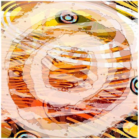 Kingstudio Art & Design Gallery - Gold Coast 3