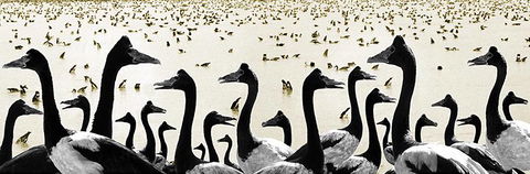 Tin Shed Art Gallery - Tourism Gold Coast 0