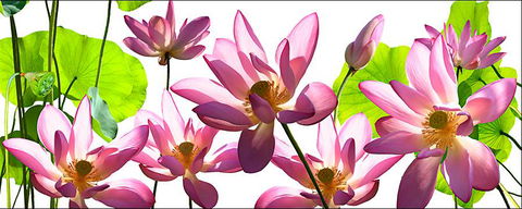 Tin Shed Art Gallery - Tourism Gold Coast 3