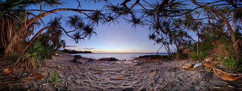 Silva Gallery - Gold Coast 3