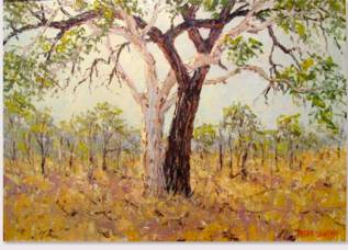 Peter Lawson Fine Art - Tourism Gold Coast 1