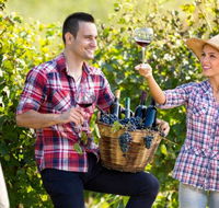 Two Tails Wines - Tourism Gold Coast