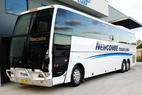 Newcombe Coach Lines - Tourism Gold Coast 1
