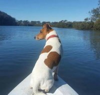 Australis Canoes  Kayaks - Tourism Gold Coast