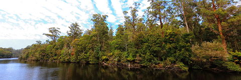 A R Reflections River Cruises - Tourism Gold Coast 0