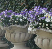 Gardenalia Open Garden and Rare Plant Nursery - Tourism Gold Coast