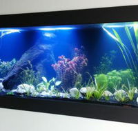 Aquariums in Cairns - Tourism Gold Coast