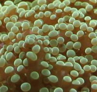 River to Reef Aquarium - Tourism Gold Coast