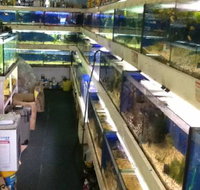 Clearwater Aquariums - Tourism Gold Coast