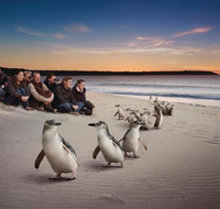 Down Under Thrills - Tourism Gold Coast