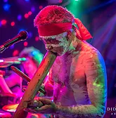 Didgeridoo Jam In The Park - Tourism Gold Coast 1
