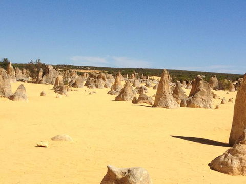 Pinnacles Desert, Koalas And Sandboarding 4WD Day Tour From Perth - Tourism Gold Coast 15