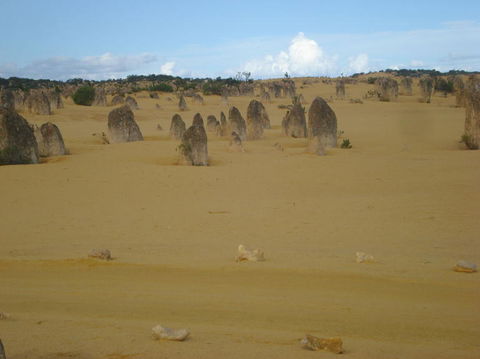 Pinnacles Desert, Koalas And Sandboarding 4WD Day Tour From Perth - Tourism Gold Coast 23
