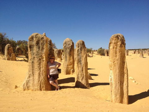 Pinnacles Desert, Koalas And Sandboarding 4WD Day Tour From Perth - Tourism Gold Coast 17