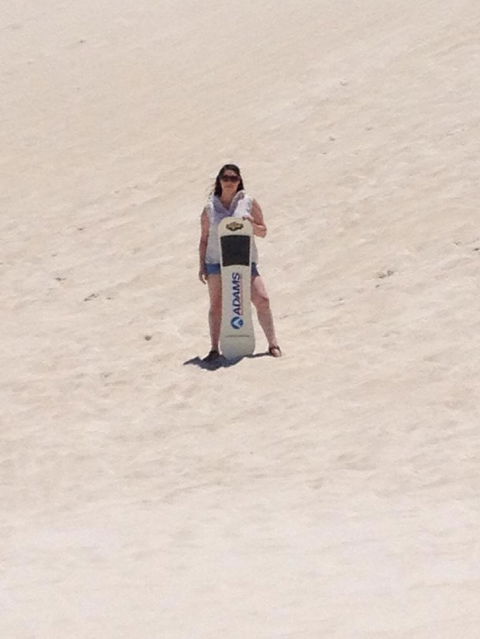 Pinnacles Desert, Koalas And Sandboarding 4WD Day Tour From Perth - Tourism Gold Coast 21