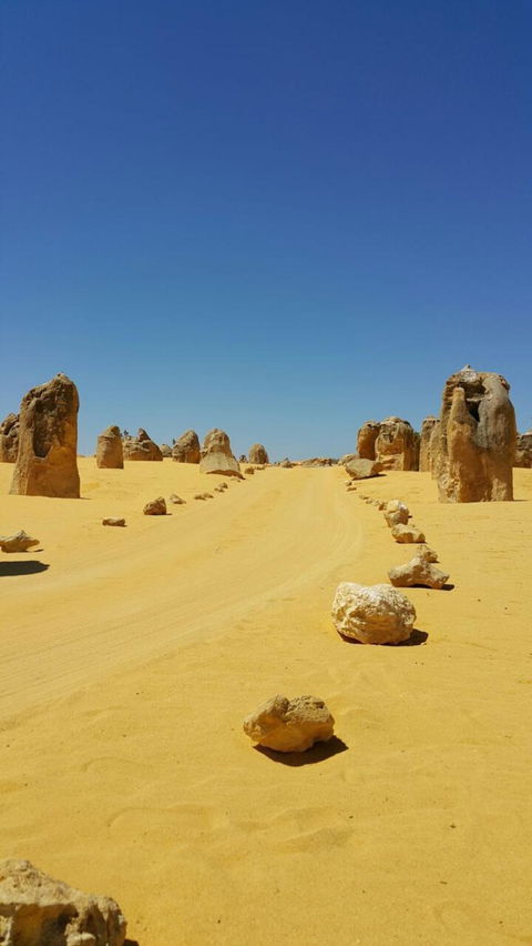 Pinnacles Desert, Koalas And Sandboarding 4WD Day Tour From Perth - Tourism Gold Coast 3