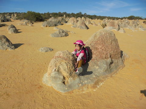 Pinnacles Desert, Koalas And Sandboarding 4WD Day Tour From Perth - Tourism Gold Coast 7
