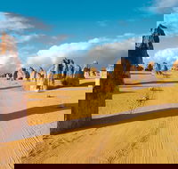 Pinnacles Desert Koalas and Sandboarding 4WD Day Tour from Perth - Tourism Gold Coast