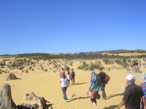 Pinnacles Desert, Koalas And Sandboarding 4WD Day Tour From Perth - Tourism Gold Coast 25