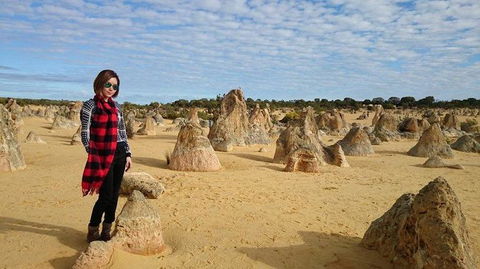 Pinnacles Desert, Koalas And Sandboarding 4WD Day Tour From Perth - Tourism Gold Coast 13