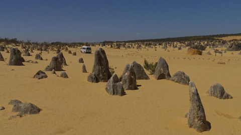 Pinnacles Desert, Koalas And Sandboarding 4WD Day Tour From Perth - Tourism Gold Coast 4