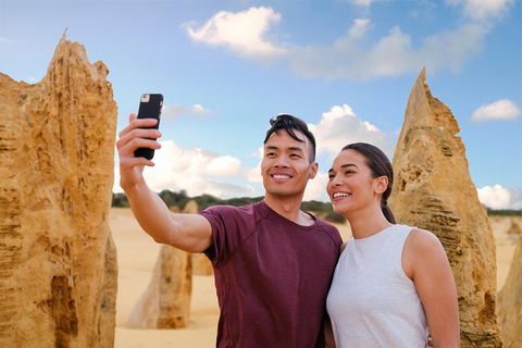 Pinnacles Desert, Koalas And Sandboarding 4WD Day Tour From Perth - Tourism Gold Coast 27