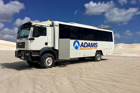 Pinnacles Desert, Koalas And Sandboarding 4WD Day Tour From Perth - Tourism Gold Coast 28