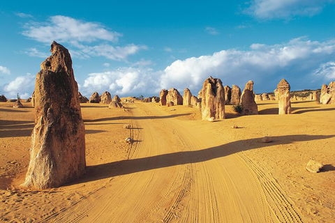 Pinnacles Desert, Koalas And Sandboarding 4WD Day Tour From Perth - Tourism Gold Coast 26