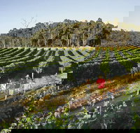 Margaret River Caves Wine and Cape Leeuwin Lighthouse Tour from Perth - Gold Coast