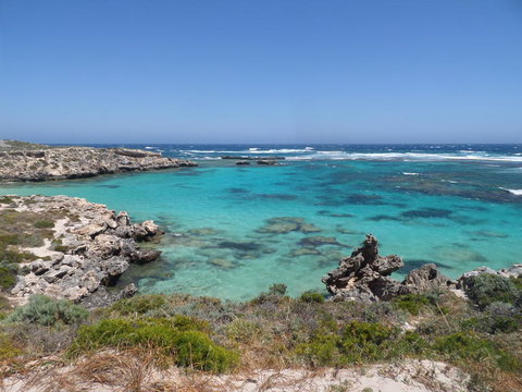 Rottnest Island Tour From Perth Or Fremantle Including Adventure Speed Boat Ride - Tourism Gold Coast 3