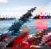 Rottnest Island Tour from Perth or Fremantle including Adventure Speed Boat Ride - Tourism Gold Coast