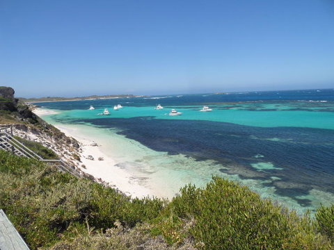 Rottnest Island Tour From Perth Or Fremantle Including Adventure Speed Boat Ride - Tourism Gold Coast 2