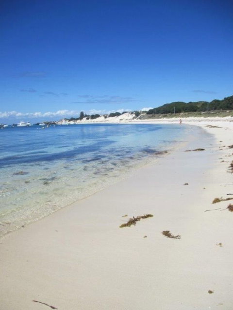 Rottnest Island Tour From Perth Or Fremantle Including Adventure Speed Boat Ride - Tourism Gold Coast 4