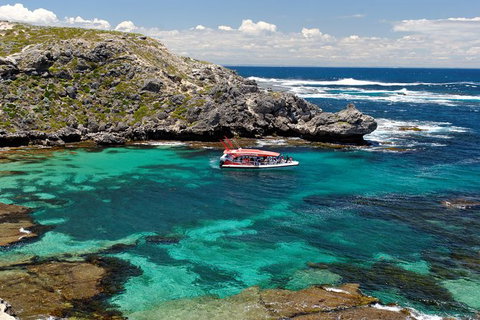 Rottnest Island Tour From Perth Or Fremantle Including Adventure Speed Boat Ride - Tourism Gold Coast 1