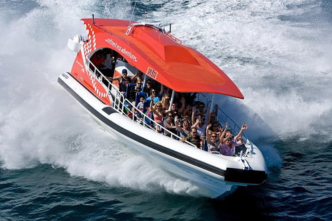 Rottnest Island Tour From Perth Or Fremantle Including Adventure Speed Boat Ride - Tourism Gold Coast 11