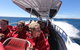 Rottnest Island Tour From Perth Or Fremantle Including Adventure Speed Boat Ride - thumb 8
