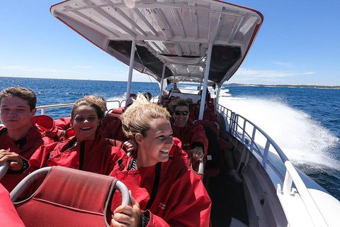 Rottnest Island Tour From Perth Or Fremantle Including Adventure Speed Boat Ride - Tourism Gold Coast 8