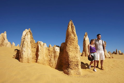 Pinnacles Day Trip From Perth Including Yanchep National Park - Tourism Gold Coast 1