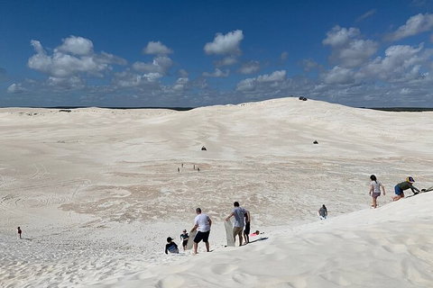 Pinnacles Day Trip From Perth Including Yanchep National Park - Tourism Gold Coast 3