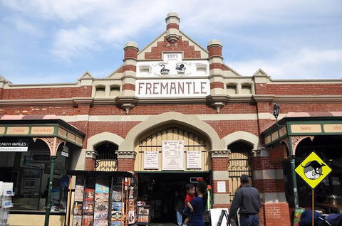 Full-Day Penguin Island & Fremantle Town - Tourism Gold Coast 1