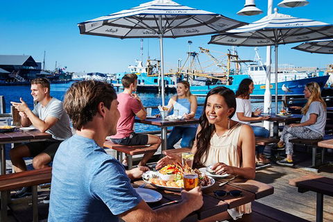 Full-Day Penguin Island & Fremantle Town - Tourism Gold Coast 7