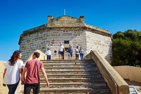 Full-Day Penguin Island & Fremantle Town - Tourism Gold Coast 4